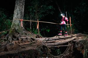 BIB: 
                            <button type="button" onclick="openModal(27418945)" class="btn btn-primary btn-sm float-right btn-popup" data-toggle="modal" data-target=".modal-high-quality">
                        <i class="fas fa-shopping-cart"></i> Add to Cart
                    </button>
                                            <button type="button" onclick="isThisMe(27418945, true)" class="btn btn-success btn-sm float-right btn-popup btn-isme hidden" data-toggle="tooltip" data-placement="bottom" title="นี่คือรูปของคุณใช่ไหม คลิกที่นี่เพื่อเอาเข้าอัลบั้ม">
                        <i class="fas fa-plus"></i> Add to album
                    </button>
                    <button type="button" onclick="isThisMe(27418945, false)" class="btn btn-warning btn-sm float-right btn-popup btn-isnotme hidden">
                        <i class="fas fa-ban"></i> Remove from album
                    </button>